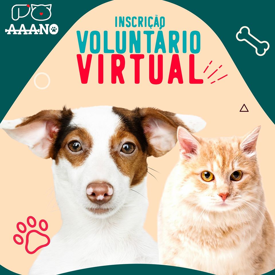 Voluntário Virtual